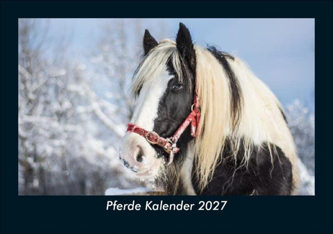 Pferde Kalender 2027 Fotokalender DIN A5