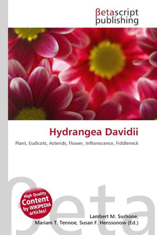 Hydrangea Davidii