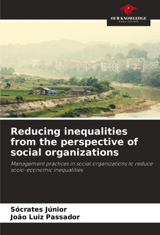 Reducing inequalities from the perspective of social organizations