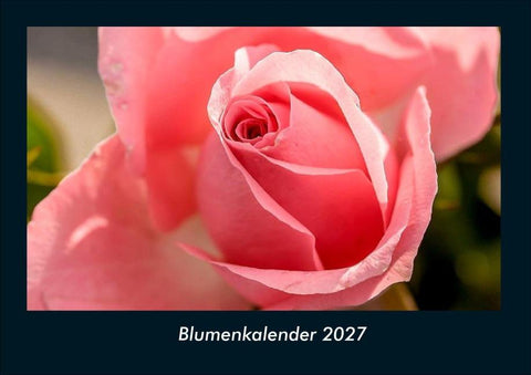 Blumenkalender 2027 Fotokalender DIN A4