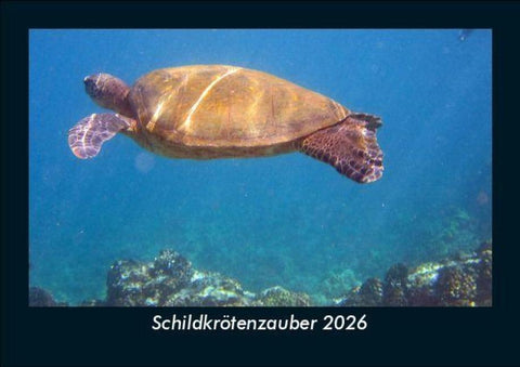 Schildkrötenzauber 2026 Fotokalender DIN A5