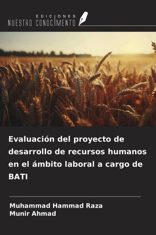 Evaluación del proyecto de desarrollo de recursos humanos en el ámbito laboral a cargo de BATI