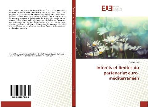 Intérêts et limites du partenariat euro-méditerranéen