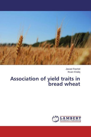 Association of yield traits in bread wheat