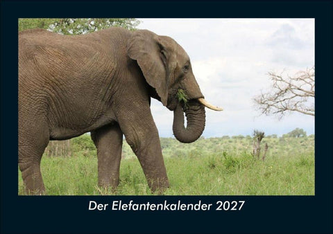 Der Elefantenkalender 2027 Fotokalender DIN A5