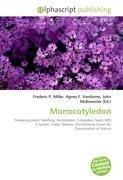 Monocotyledon