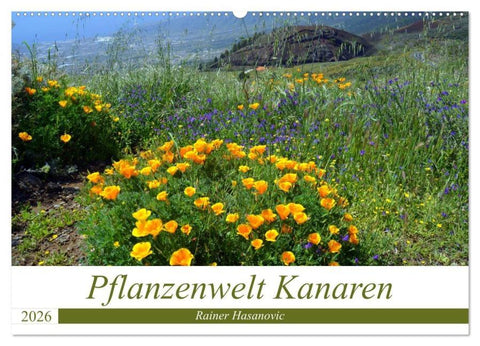 Pflanzenwelt Kanaren (Wandkalender 2026 DIN A2 quer), CALVENDO Monatskalender