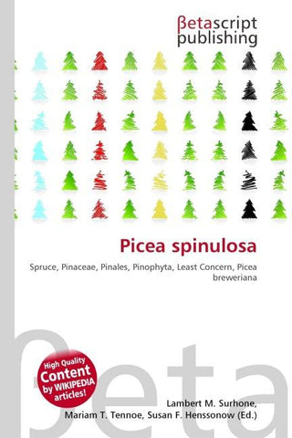 Picea spinulosa