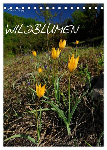 WILDBLUMEN (Tischkalender 2026 DIN A5 hoch), CALVENDO Monatskalender