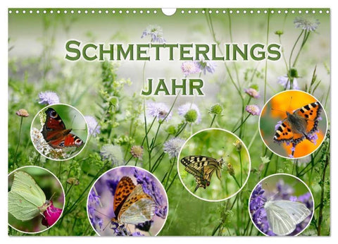 Schmetterlingsjahr (Wandkalender 2026 DIN A3 quer), CALVENDO Monatskalender
