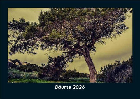 Bäume 2026 Fotokalender DIN A5