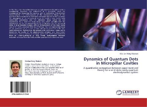 Dynamics of Quantum Dots in Micropillar Cavities
