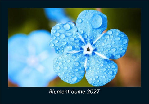 Blumenträume 2027 Fotokalender DIN A5