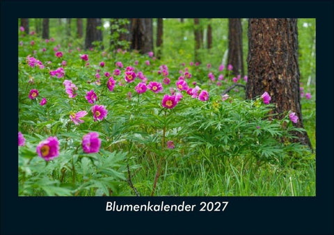 Blumenkalender 2027 Fotokalender DIN A5