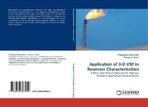 Application of 3-D VSP in Reservoir Characterization