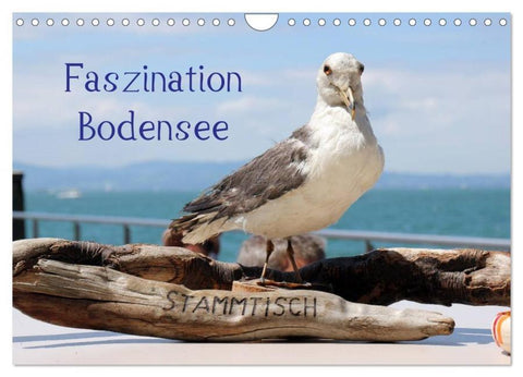 Faszination Bodensee (Wandkalender 2026 DIN A4 quer), CALVENDO Monatskalender