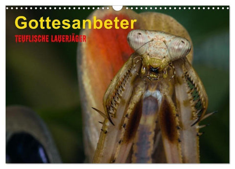 Gottesanbeter - Teuflische Lauerjäger (Wandkalender 2026 DIN A3 quer), CALVENDO Monatskalender