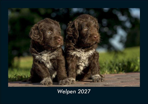 Welpen 2027 Fotokalender DIN A5