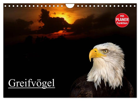Greifvögel (Wandkalender 2026 DIN A4 quer), CALVENDO Monatskalender