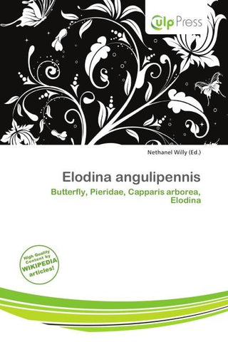 Elodina angulipennis