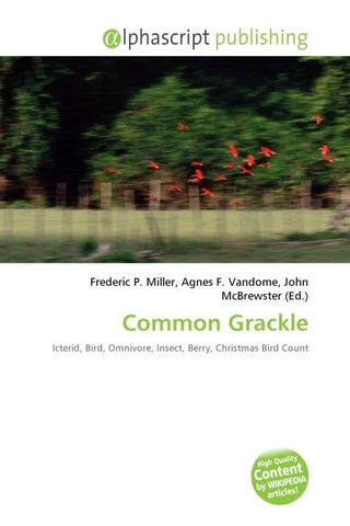 Common Grackle