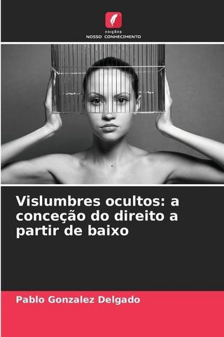 Vislumbres ocultos: a conceção do direito a partir de baixo