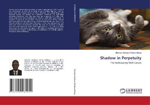 Shadow in Perpetuity