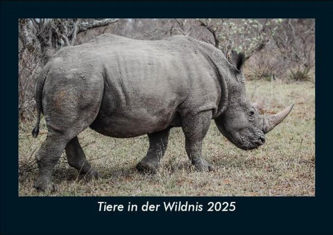 Tiere in der Wildnis 2025 Fotokalender DIN A5