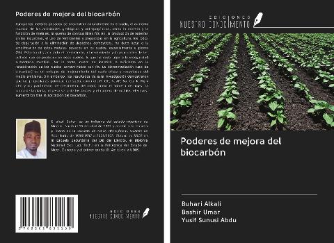 Poderes de mejora del biocarbón