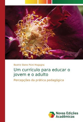 Um currículo para educar o jovem e o adulto