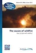 The causes of wildfire