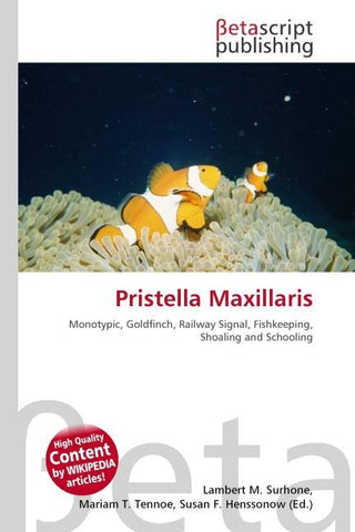Pristella Maxillaris