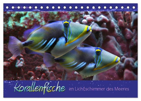 Korallenfische im Lichtschimmer des Meeres (Tischkalender 2026 DIN A5 quer), CALVENDO Monatskalender