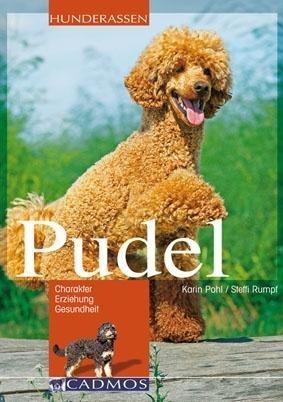 Pudel