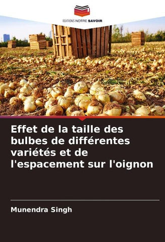 Effet de la taille des bulbes de différentes variétés et de l'espacement sur l'oignon