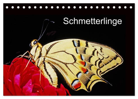 Schmetterlinge (Tischkalender 2026 DIN A5 quer), CALVENDO Monatskalender