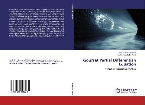 Goursat Partial Differentian Equation