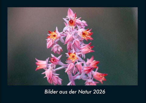 Bilder aus der Natur 2026 Fotokalender DIN A4