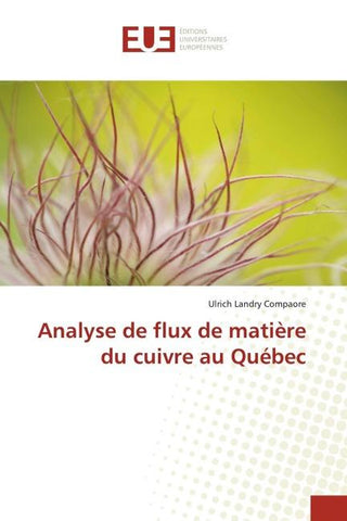 Analyse de flux de matière du cuivre au Québec