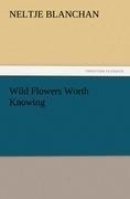Wild Flowers Worth Knowing
