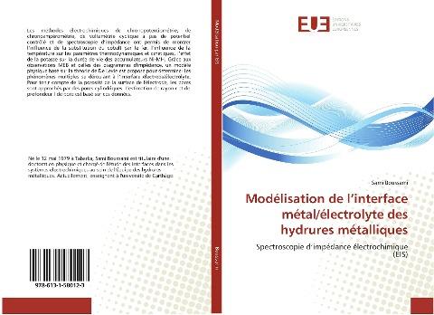 Modélisation de l'interface métal/électrolyte des hydrures métalliques