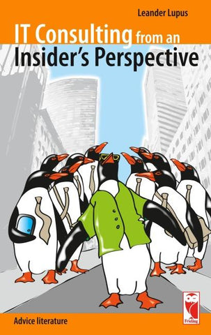 IT Consulting from an Insider's Perspective