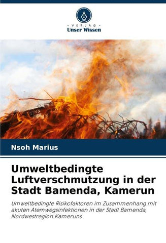 Umweltbedingte Luftverschmutzung in der Stadt Bamenda, Kamerun