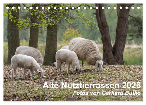 Alte Nutztierrassen 2026 (Tischkalender 2026 DIN A5 quer), CALVENDO Monatskalender