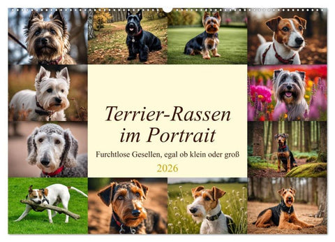 Terrier-Rassen im Portrait (Wandkalender 2026 DIN A2 quer), CALVENDO Monatskalender