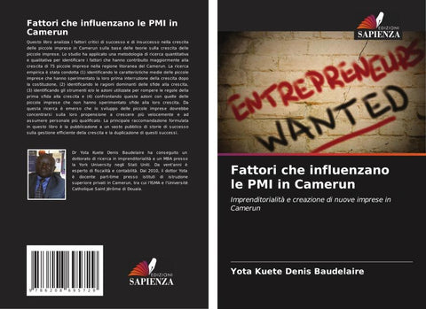 Fattori che influenzano le PMI in Camerun