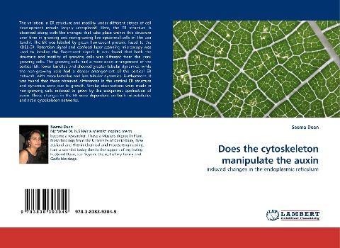 Does the cytoskeleton manipulate the auxin
