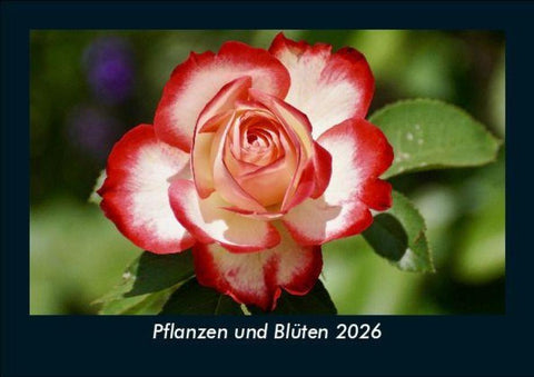 Pflanzen und Blüten 2026 Fotokalender DIN A5