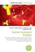 Human Leukocyte Antigen