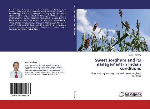 Sweet sorghum and its management in Indian conditions